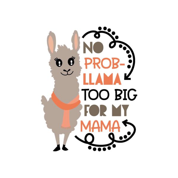 No Probllama Tshirt - Image 2