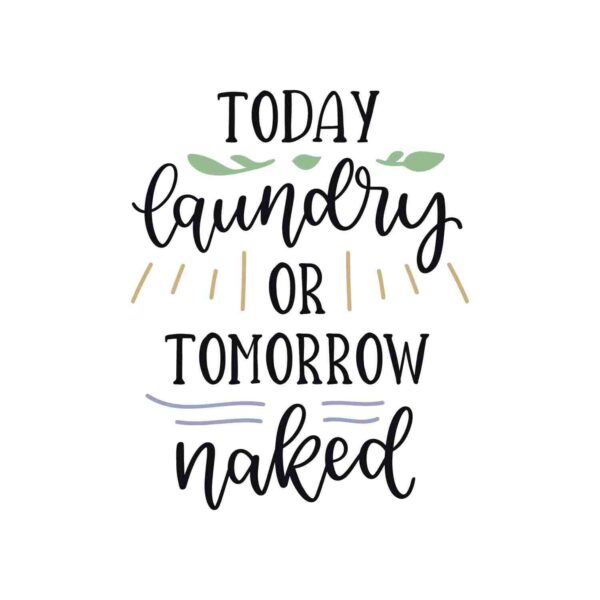 Laundry or Naked Tshirt - Image 2