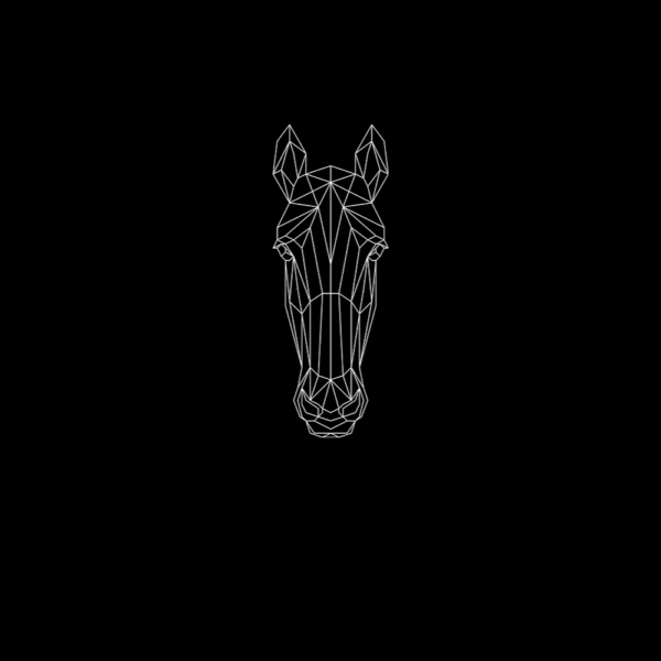 Carthorse Tshirt - Image 2