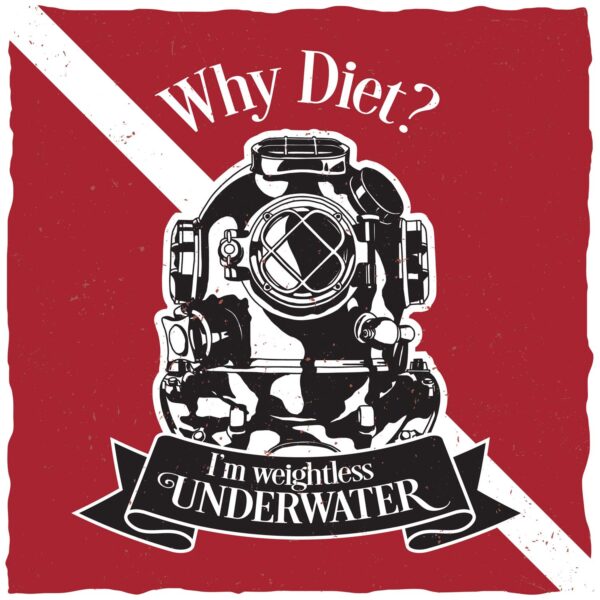 Why Diet...? Tshirt - Image 2